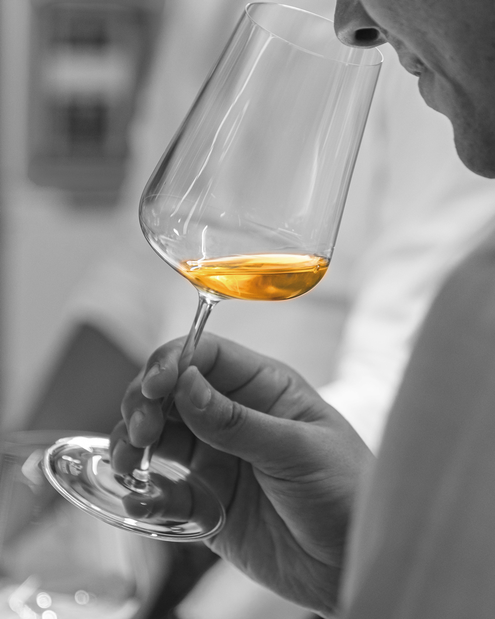 degustacija vinski kleti Stara klet Vipava