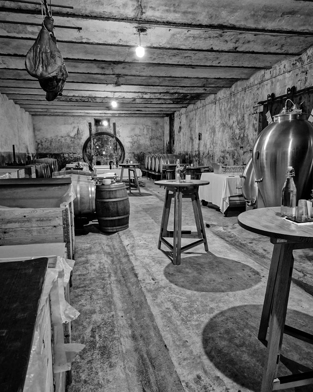 Degustacija v Stari kleti Vipava